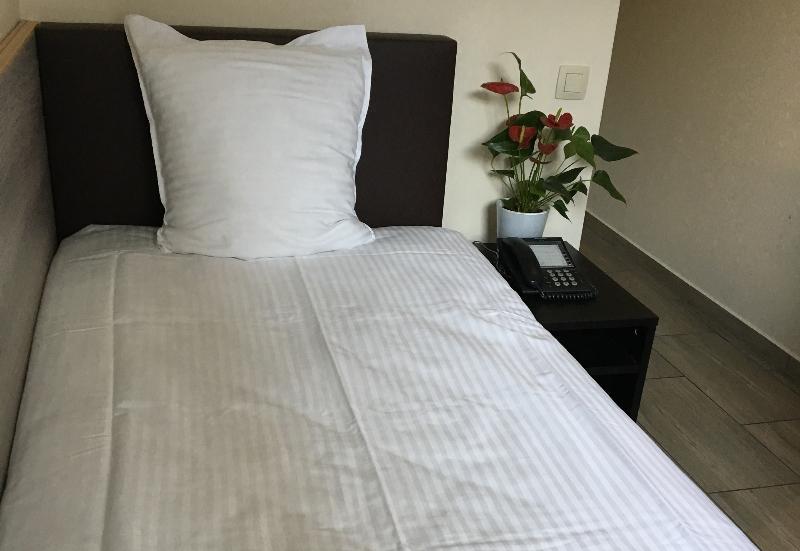 สลินา โฮเต็ล บรัสเซลส์ Hotel Sint-Jans-Molenbeek ภายนอก รูปภาพ